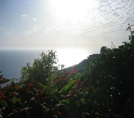 Geraeumige Mit Panoramablick Apartment Arco da Calheta (Madeira)